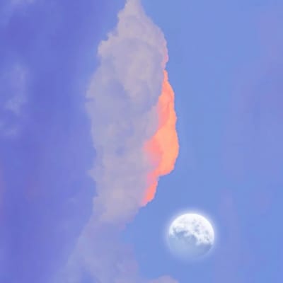 Phạm Phương Vy avatar